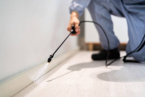 Licensed Termite Control service in Iola, KS - Show Me Pest Control